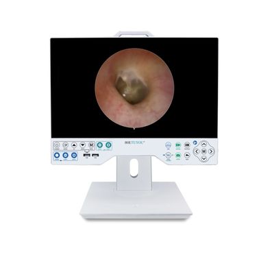 주문 공장 설계 15인치 FHD 카메라 시스템 온라인 제품