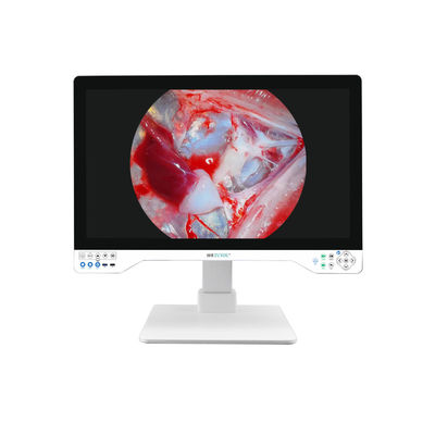 주문 첨단 32