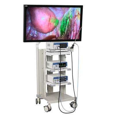 주문 TUYOU USB 비디오 녹화 수술 ICG 4K 내시경 카메라 시스템 온라인 제품