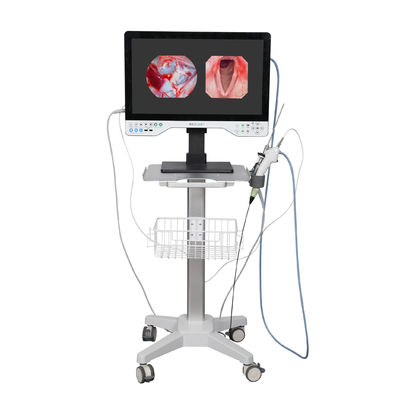 FHD 모든 하나의 내시경 카메라 시스템 내장 LED 라이트 & 유연한 laparoscopy 범위