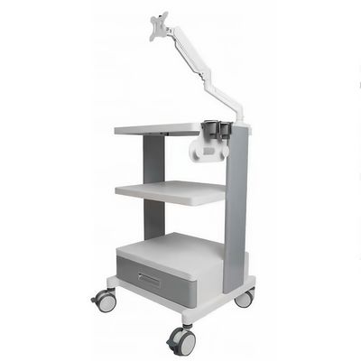 TUYOU SK-N8001 내시경 트롤리 590x580x955mm 금속 수술 카트