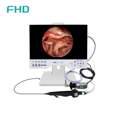 15인치 올인원 풀 HD 내시경 카메라 시스템 (ENT 및 비뇨기과 수술 적용, 내장형 LED 광원)