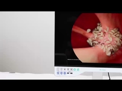 TUYOU UHD 엔도스코프 신경외과 도구 사용을위한 의료 엔도스코프 카메라